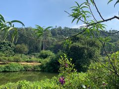 -南国桃园旅游度假区