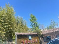 -清雅臻品·竹林院落·新派青岛菜(崂山店)