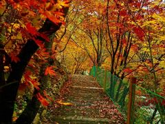 -丹东天桥沟景区