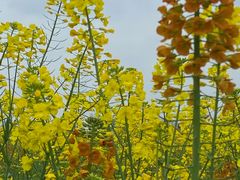 -中国天府农业博览园