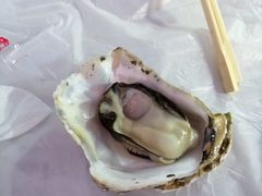 -东夷海鲜巨无霸(东夷小镇店)