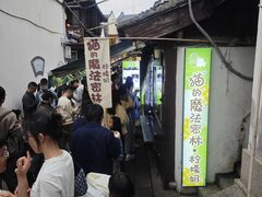 -猫的魔法密林(衣裳街店)