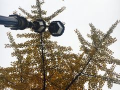 -西南民族大学南区(双流校区)