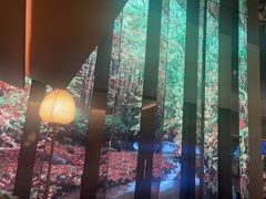 -桂满陇·海市蜃楼·黑金(国金店)