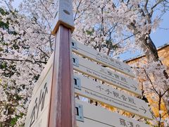 -龙华寺