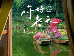 -深圳仙湖植物园