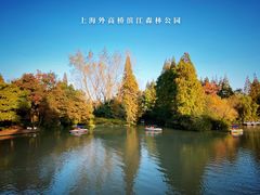 -上海滨江森林公园