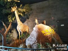 -扬州科技馆