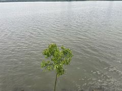 -艾溪湖湿地公园