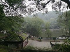 -忠山公园
