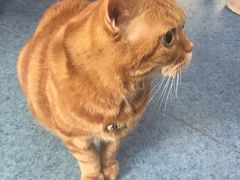 -北京赛佳动物医院