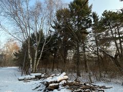 -长春市南湖公园