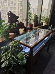 -苏针艺纹身·穿孔饰品