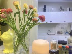 -YESIDO BLACK椰岛造型