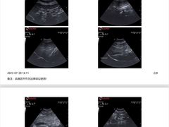 -泰洋动物医院·神经专科·磁共振·CT(天河公园总院)