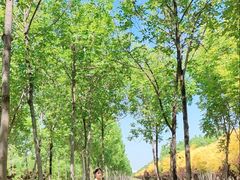 -天津东丽湖风景区