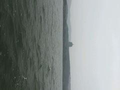 android_upload_pic-西湖外事游船(花港观鱼码头)