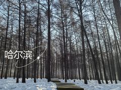 -欧亚之窗公园