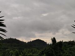 -番禺大夫山森林公园