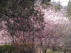 景观位-阿兹凯乐·老洋房西餐