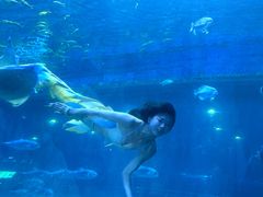 -华夏文旅西安度假区