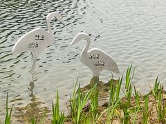 -渤公岛生态公园