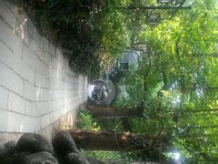 android_upload_pic-小洲村