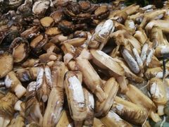 -福建鲤鱼洲酒店