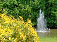 -上海共青森林公园