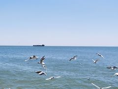 -老虎石海上公园