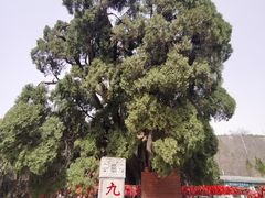 -四门塔风景区