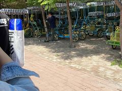 -西青郊野公园