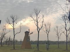 -上海海湾国家森林公园