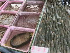 -南沙十九涌渔人码头-南门