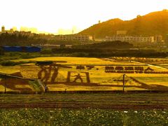 -光明小镇欢乐田园