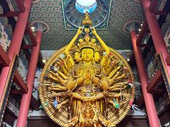 -上海东林寺(金山区)