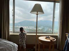 -南京维景国际大酒店(南京博物院店)