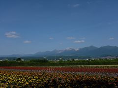 -富田农场