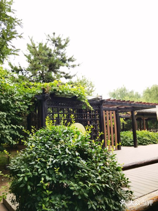 三里河公园图片