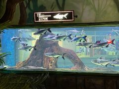 -顺德南宏海立方海洋公园