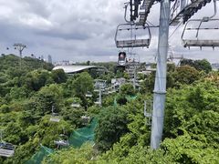 -圣淘沙天际线斜坡滑车