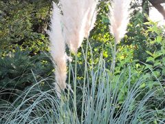 -北京植物园南门售票处