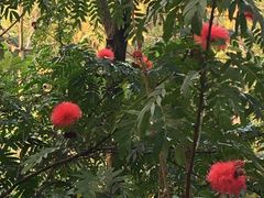 -云溪植物园