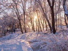 -中旅松花湖滑雪场