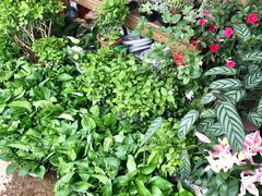 -沪花拾者(好再来花卉鲜花店)