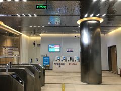 -重庆市奥林匹克体育中心-游泳跳水馆