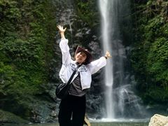 -莫里热带雨林景区