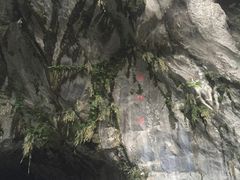 -太鲁阁公园