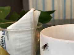 -River Café 海鲜自助(重庆丽笙世嘉酒店)