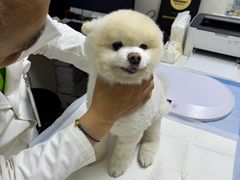-美联众合动物医院·24h转诊中心